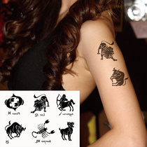 Hipster arm wrist shooter Golden Cow white sheep scorpion scorpion lion Pisces constellation tattoo waterproof long-lasting K007