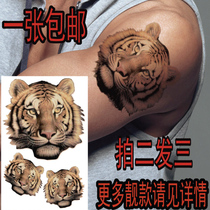 3D Solid Front Chest Back Wrist Arm Floral Arm Floral Leg Tiger King Tiger Head Tiger Tattoo Patch Waterproof Persistent CX053