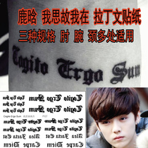 Sexy Personality Arm Wrist and when I think so I think so Im at the deer Han with the same tattoo sticker waterproof persistent P127