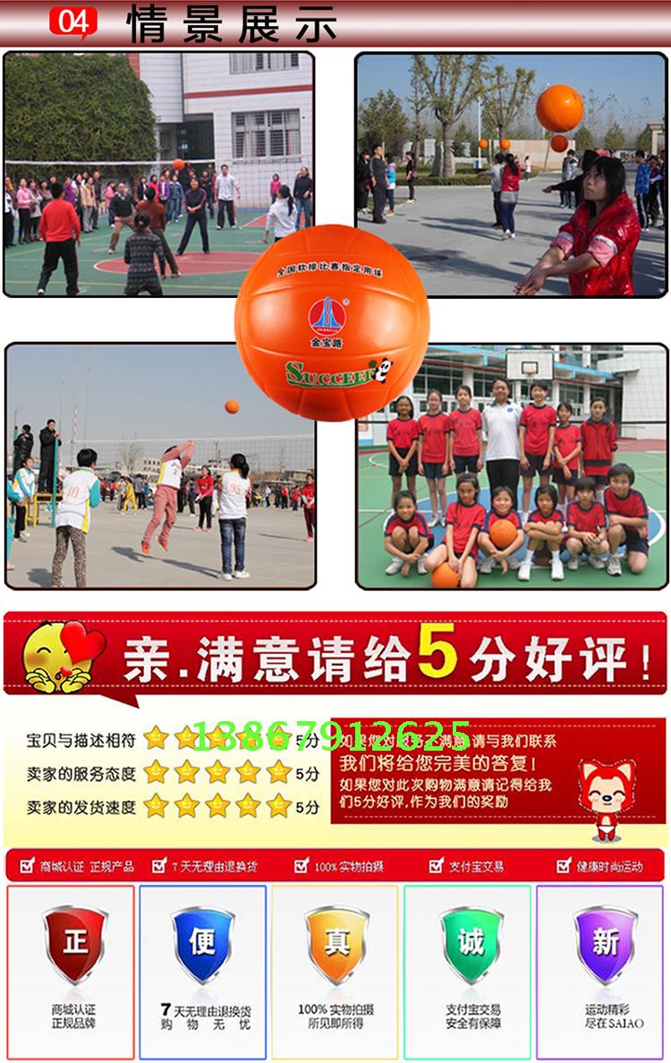 Ballon de volley - Ref 2010392 Image 8