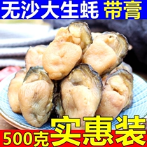 Dasheng dried oyster dry oyster 500g fresh sand-free oysters ready-to-eat non-seafood dried baby soup