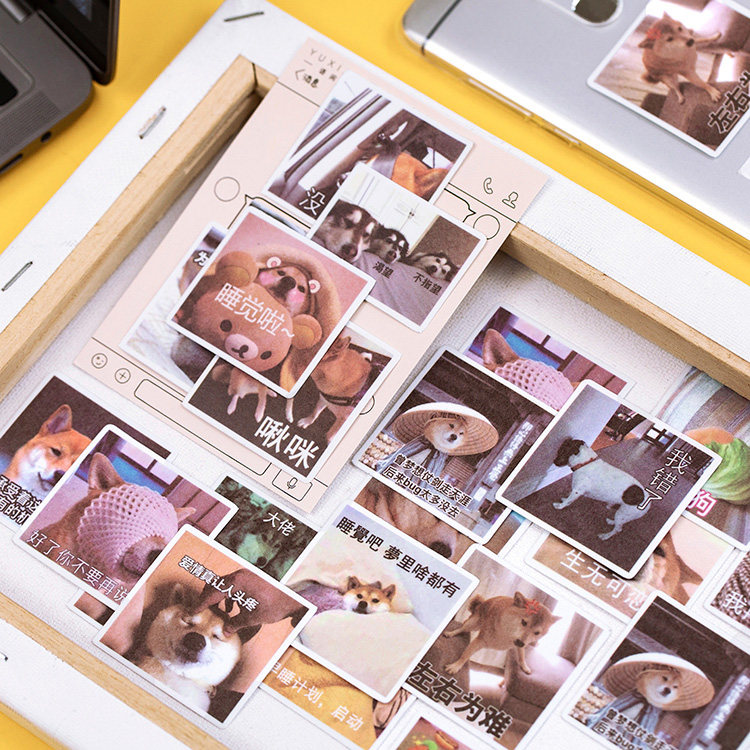 Discount net red bucket map little expert and paper sticker pack Cartoon cute funny hand account material decorative sticker art