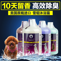 Ferrets Dogs Body Wash of Bath Dew of Fragrant Polarites Polarites Killing Mites Bacteria Snow Sculptures Than Bears gold Mao Teddy Fou Cat Bathing Supplies