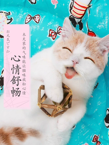 Му -тианья кошачья монетный леденец леденцо