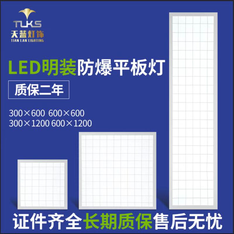 Explosion-Proof Flat Panel Light 600X600 Surface-Mounted Hole-Free Panel Light 300X600 Ceiling Light 300X1200 Suspended Light