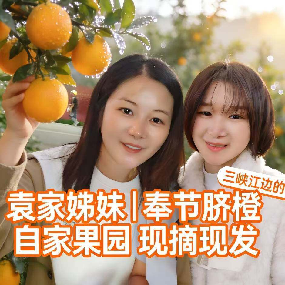 袁家姊妹奉节脐橙