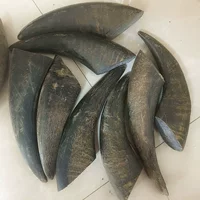 Solid Mavericks Horn Vipate 2 (около ± 5 см в ширину)