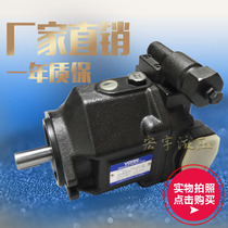 Youyan variable piston pump AR16-F-R-01B-20 AR22-F-R-01C-20 Injection molding machine hydraulic oil pump