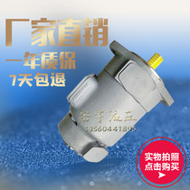 Tokyo Meter Vane Pump SQP1 SQP2 SQP3 SQP4 Baler oil pump SQP43 SQP32 SQP21