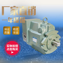 YUKEN AR16 piston pump A90 A145 A220-F-R-04-B-S-60 Injection molding machine variable oil pump
