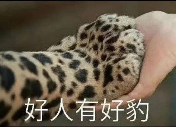 超新星外贸