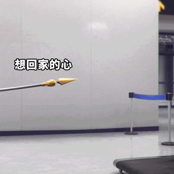 DM_20250211170259_028.gif