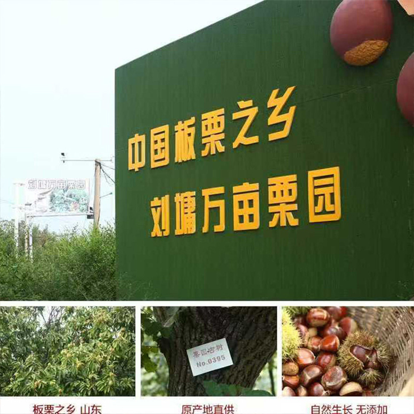 沂蒙山特产店的LOGO