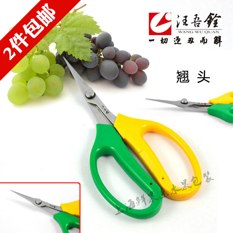 Wang Kuroshen Stainless Steel with scissors spring fruit cut fruit cut grape scissors