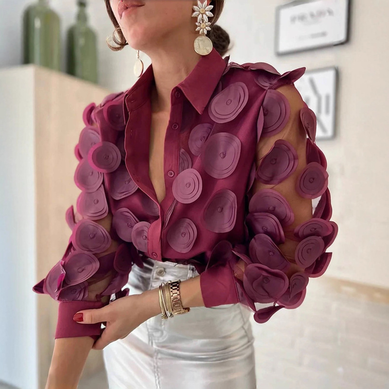 New Hot-Selling Model European and American Foreign Trade 2025 Amazon Mesh Long-Sleeve Shirt Cross-Border European and American French-Style Elegant Shirt