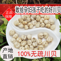 Sichuan Sichuan poudre de baihuan poudre chinoise pine 50g de soufre libre