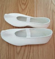 Flat dance shoes (mens shoes are shot according to the size of leather shoes)