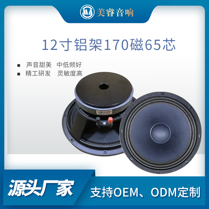 Factory Direct Sales 12-Inch 170 Magnetic 500W Speaker for Conference Rooms and Multifunctional Audio Amplification