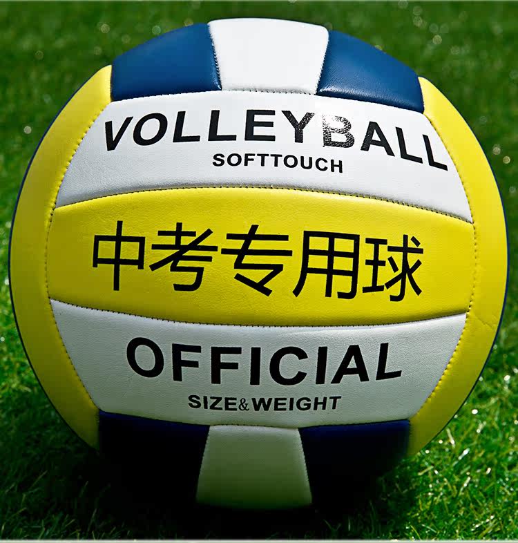 Ballon de volley-ball - Ref 2010908 Image 14