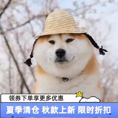 柏万同款柴犬草帽宠物辫子假发帽狗狗猫咪中小型犬帽子可爱饰品