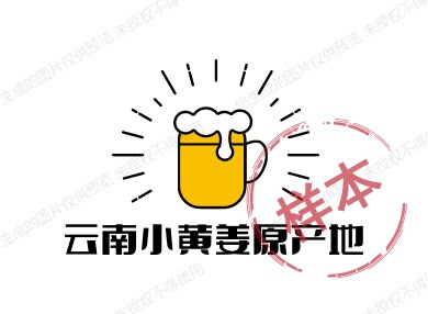 云南小黄姜原产地