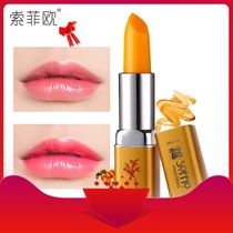 Carotene Health Lipstick Ba Shuman Color Changing Lipstick During Pregnancy Use Cosmetic Moisturizing and Moisturizing Mouth