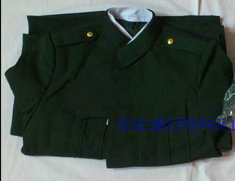 New style fattening and men's winter clothes pine branch green Zhongshan style imitation wool serge winter clothes suit