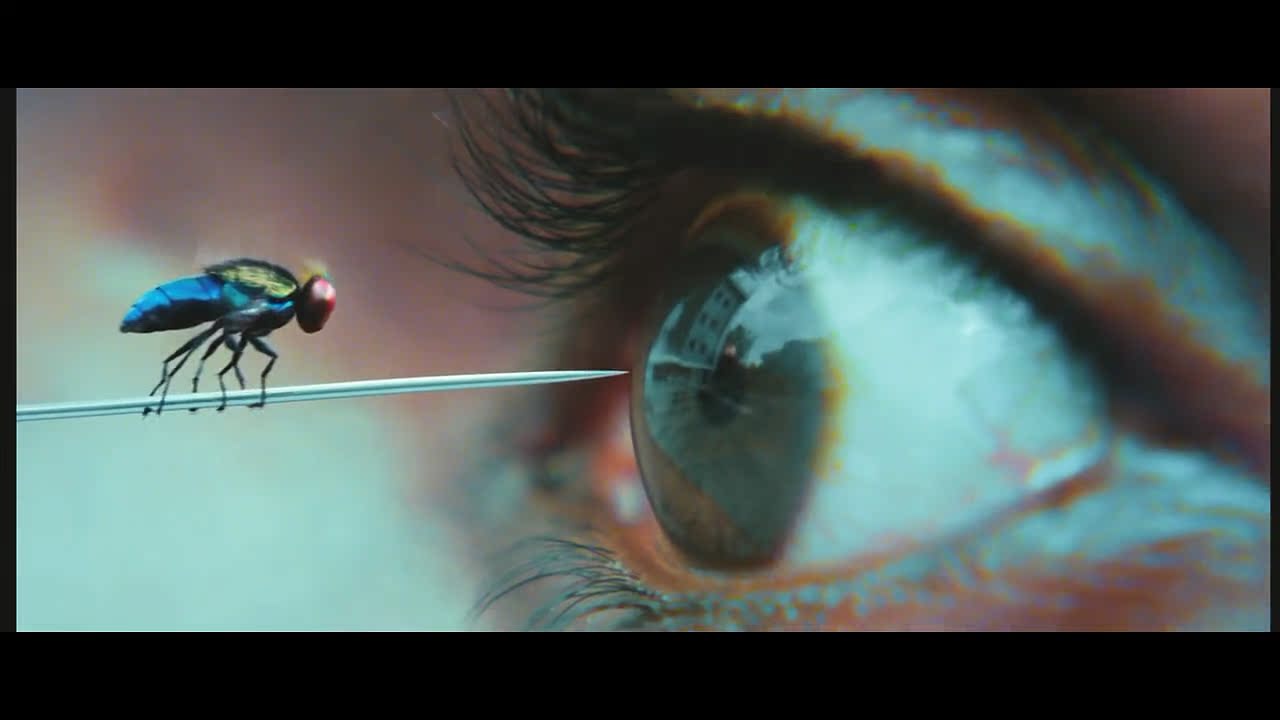 uump4.cc_功夫小蝇2012  Eega.2012.Blu-Ray-720p x264-AC3.SHINY 2.18G
