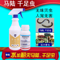 Household anti-horse drug removal of millipedes insecticides hundred foot insects powder Tide cockroach medicine flea Ant flower pot