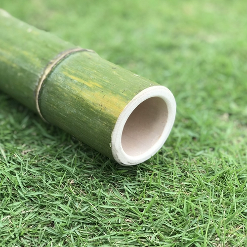 Основной цвет бамбук -сигаретная трубка с водой с высокой подковой подковы фильтрации ручной работы с дымом с дымовыми нитями, специальность Жаньцзяна Юньнана