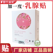 Leis Po Ai plus a breast patch to care for womens hard lump nodules pain Sting a box of 6 pieces
