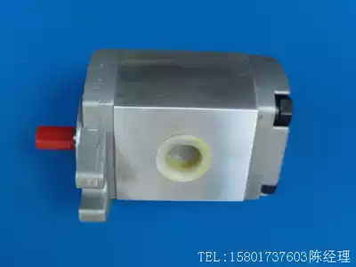 HGP-1A-F1R F2R F3R F4R F5R F6R F8R F4L High pressure gear oil pump Hydraulic pump