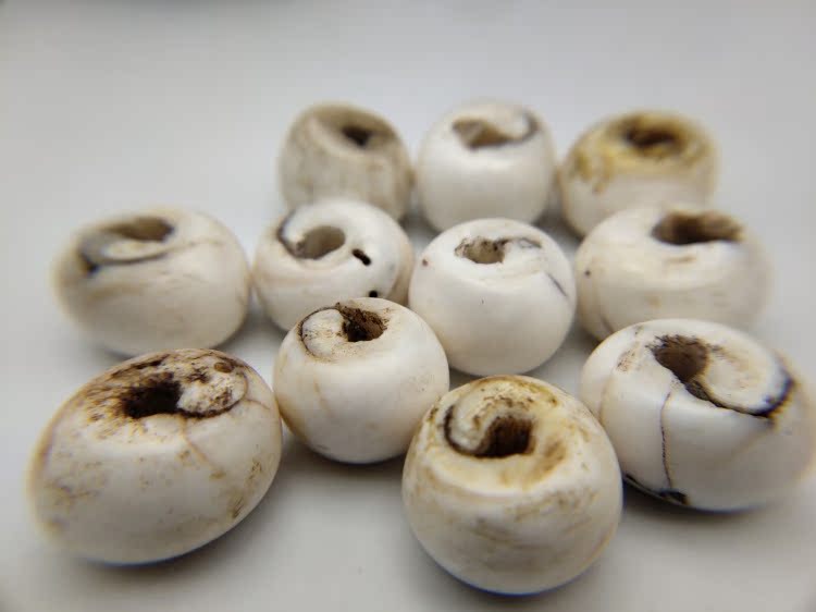 Antique Tibetan old shell beads Qing Dynasty old Falu shell beads Treasure string with old objects of Tibetan ancient beads