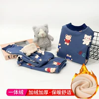 Чжэн-Тибетский Синий медведь