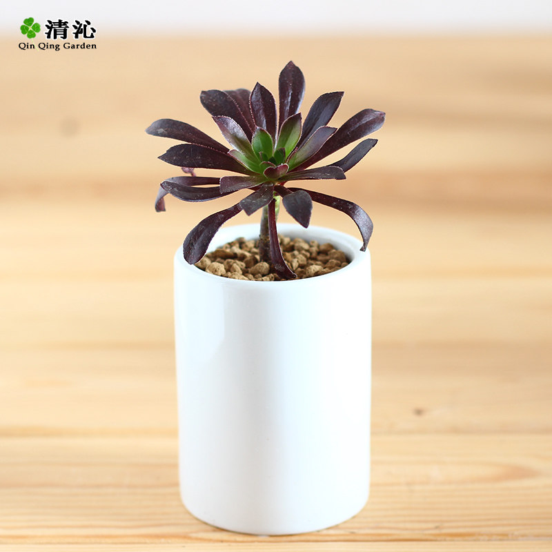 �������� �ڷ�ʦ