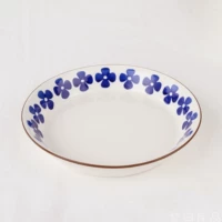 9 -INCH PLATE 22,7*3.8