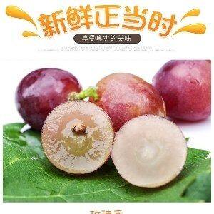 马陆鲜果葡萄园