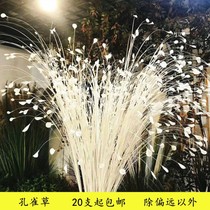 Wedding simulation flower Onion grass phoenix tail grass Peacock grass Feiling grass Butterfly flower Phoenix tail grass fake flower Wedding decorative flower