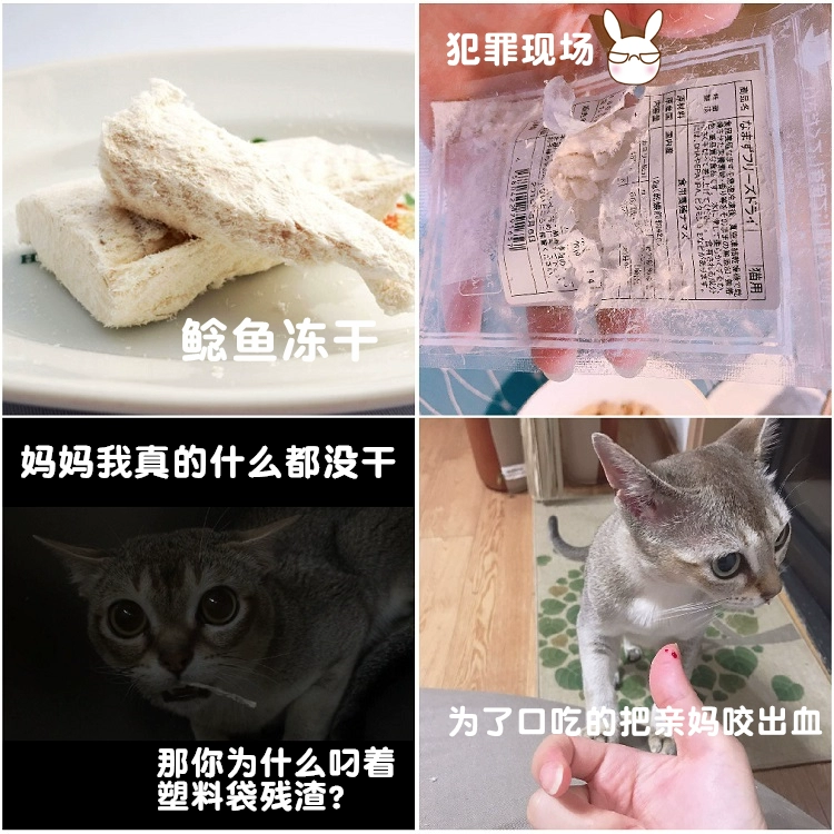 Spot Made in Japan Đồ ăn nhẹ cho chó và mèo Ngon để cắn PIECE đông khô Bò / ngựa / hươu / mực - Đồ ăn nhẹ cho mèo