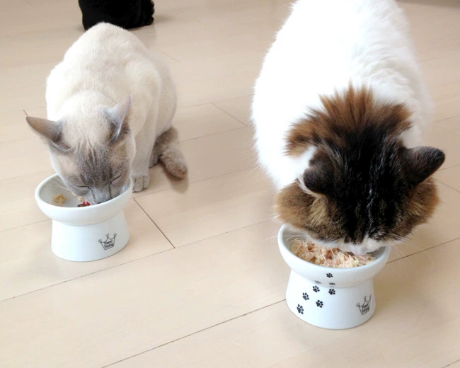 Nhật Bản nhập khẩu mèo mèo bát trái tim cô gái vỡ cao bát / bát nước / bát snack - Cat / Dog hàng ngày Neccessities 	mua bát ăn cho chó	