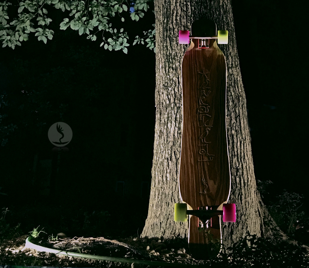 Skateboard KHEPRI    - Ref 2593188 Image 17