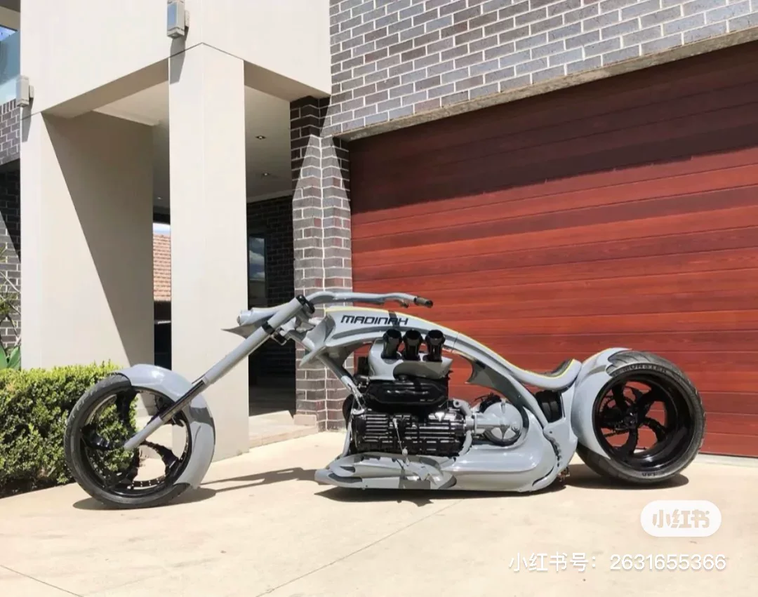 Импортированный Харли Дог Вольверин 1200cc Satu 400 Magna 250 Iron Horse Patrol Prince Prince мотоцикл