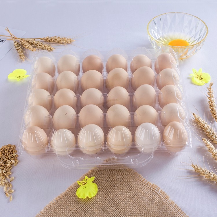 Thickened 30 medium Number of portable plastic Egg Boxes Gift Box Egg Packaging Boxes Disposable High Transparency