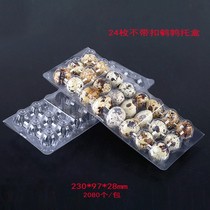24 pieces 30 pieces 20 pieces disposable thickened quail egg tray Plastic quail packaging gift box Transparent shockproof tray