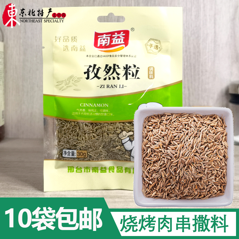 10 bags South Yizizhan grain 30g Barbecue Sprinkle Roast Meat Marinated Beef Cattle Mutton Strings Seasonings Spices