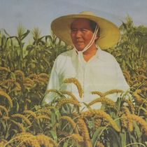 Nostalgic Chairman Mao Peoples Commune Good Cultural Revolution propaganda paintings like red collection Mao Zedong 52X76 poster paintings