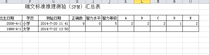 Spm瑞文标准推理测验系统