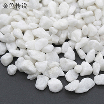 Micro landscape white stone 500g homemade sand table model landscape material diy garden scene decoration accessories