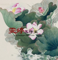 Meticulous painting white paper manuscript flower and bird line drawing Chinese painting manuscript Lotus painting homework painting