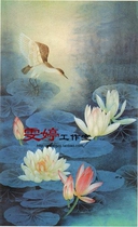 Gongbi painting white sketch Physical white paper background draft Flower and bird line drawing Chinese painting draft Lotus water lily bird painting